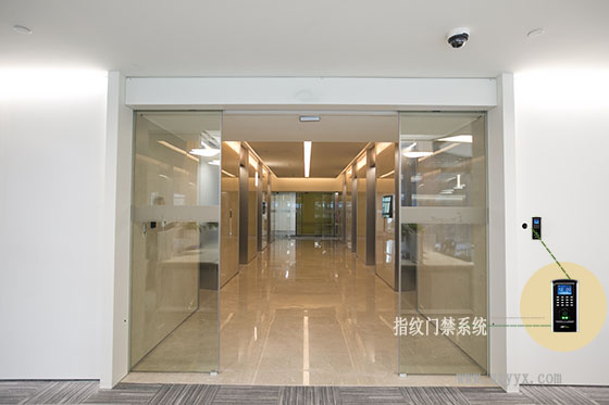 鋼化玻璃蘑菇视频免费看片-騰訊案例圖片